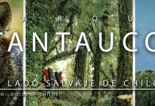 Tantauco