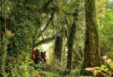 Foto de La Tercera